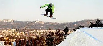 Fritidsparken ホテル
