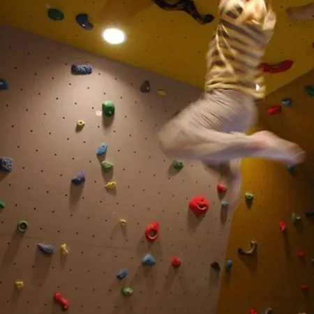 Fritidsparken فندق شين